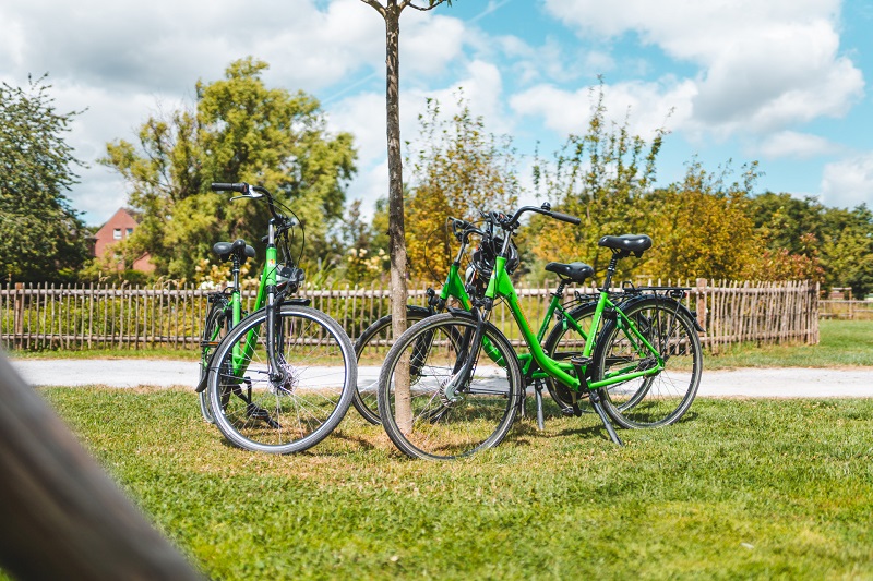 grüne Niederrheinräder am Baum gelehnt 