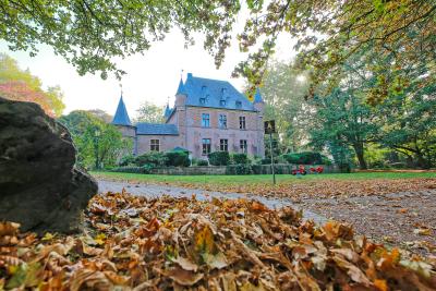 Ingenhovenpark mit Herbstlaub und Burg im Hintergrund