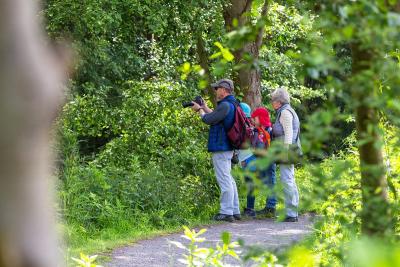 Großeltern mit Enkeln auf Wanderweg