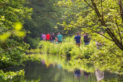 Gruppe Wanderer im Wald