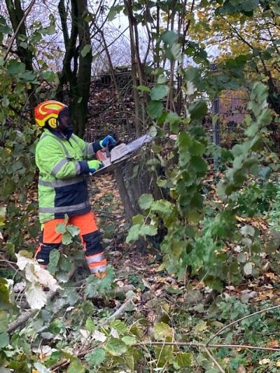 Rückschnitte an Strauchpflanzungen im Stadtgebiet