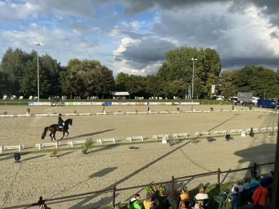 Reitsportfestival