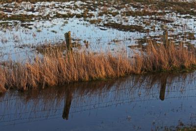 Hochwasser
