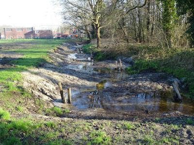 Netteverband renaturiert letzten Abschnitt des Mühlenbaches in Breyell 2025