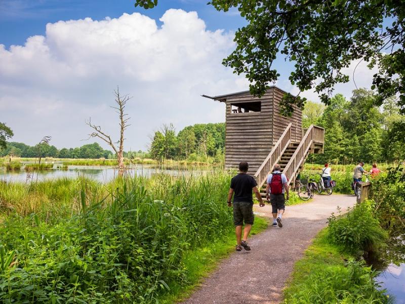 Wanderer am De Wittsee am Aussichtsturm Rohrdommel