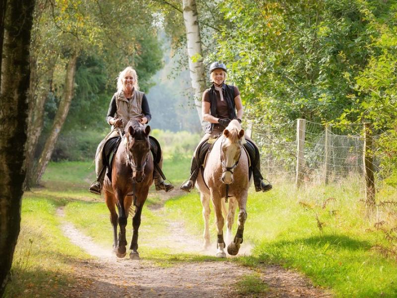 Reiter im Grenzwald Kaldenkirchen