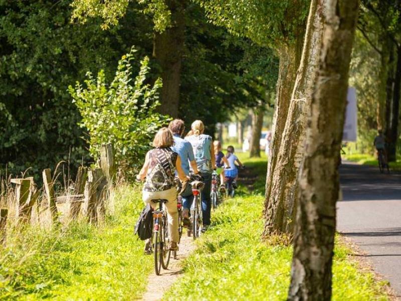 Radfahrer auf Radweg am De Wittsee