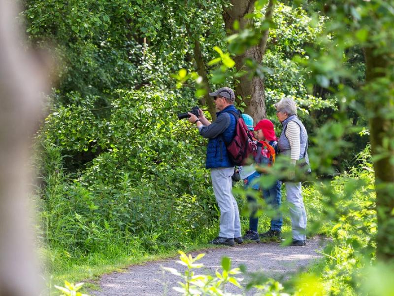 Großeltern mit Enkeln auf Wanderweg 