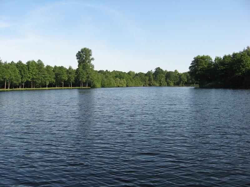 Blick auf die Wasseroberfläche des Breyeller Sees 