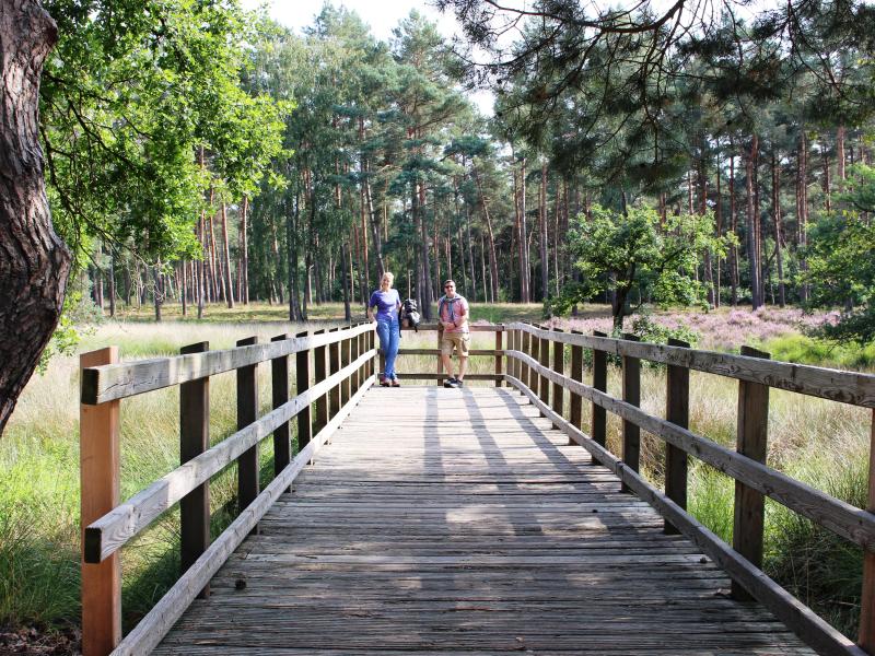 Aussichtssteg im Grenzwald 