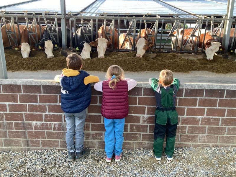 Kinder vor Mauer mit Kuhstall im Hintergrund 