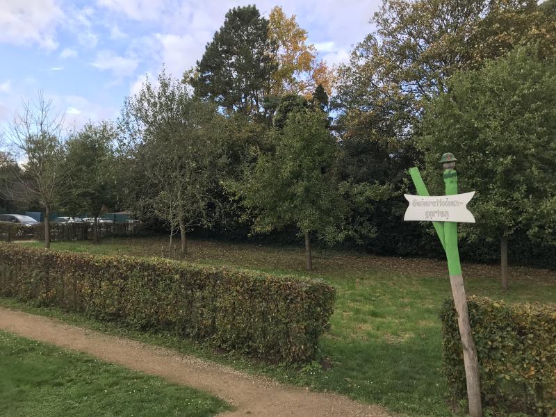 NetteBetrieb_Stadtgrün_Jubiläumswald_am_Generationenspielplatz