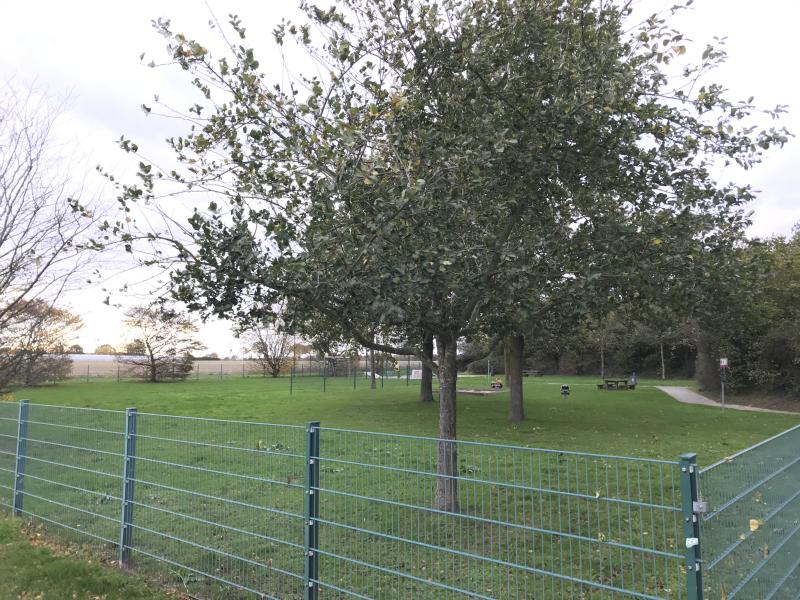 NetteBetrieb_Stadtgrün_Obstbäume_Kindersüielplatz_Leuth