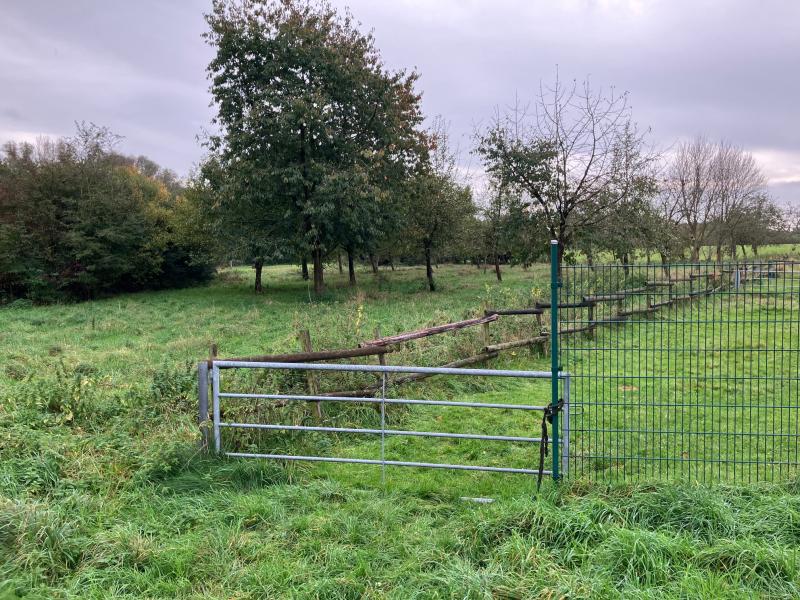 NetteBetrieb_Stadtgrün_Streuobstwiese_Onnert_2