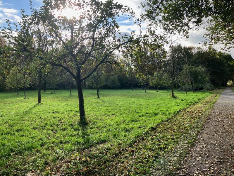 NetteBetrieb_Stadtgrün_Streuobstwiese_an_der_Kleinbahn