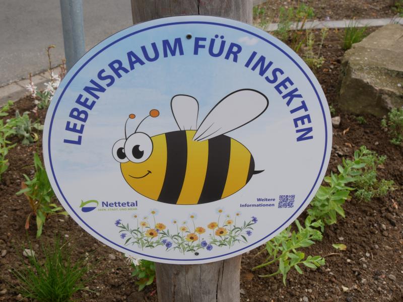 NetteBetrieb_Stadtgrün_Staudenbeet_Von-Bocholz-Straße_3
