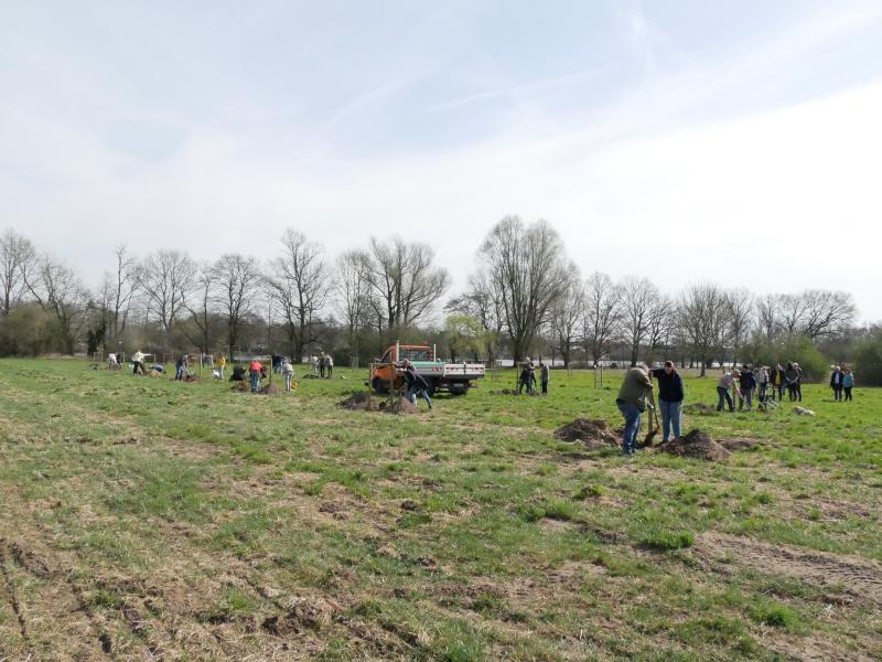 NetteBetrieb_BBS_Jubiläumswald2025_2