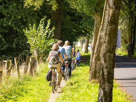 Radfahrer auf Radweg am De Wittsee