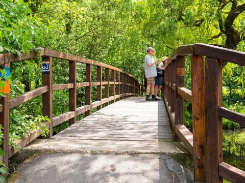 Wanderer auf Brücke