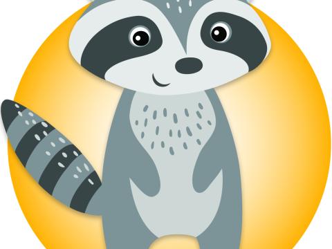 Kita NetteWelt Waschbären