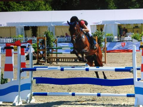 70. Reitsportfestival
